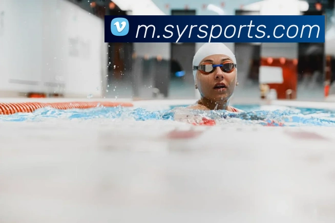 球赛投注平台生态图